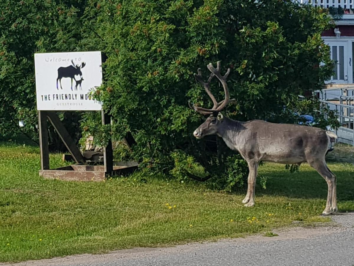 The Friendly Moose 호텔 Overtornea 외부 사진