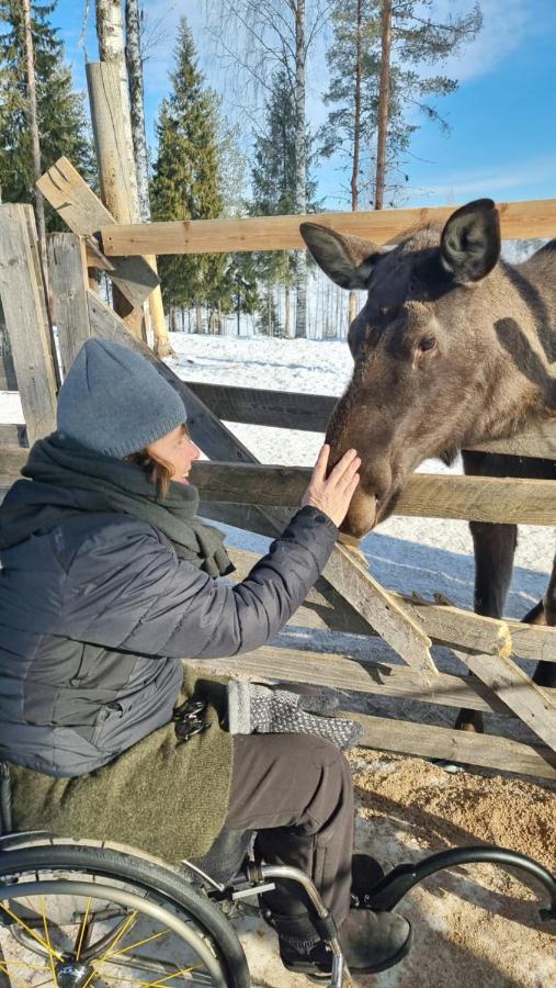 The Friendly Moose 호텔 Overtornea 외부 사진