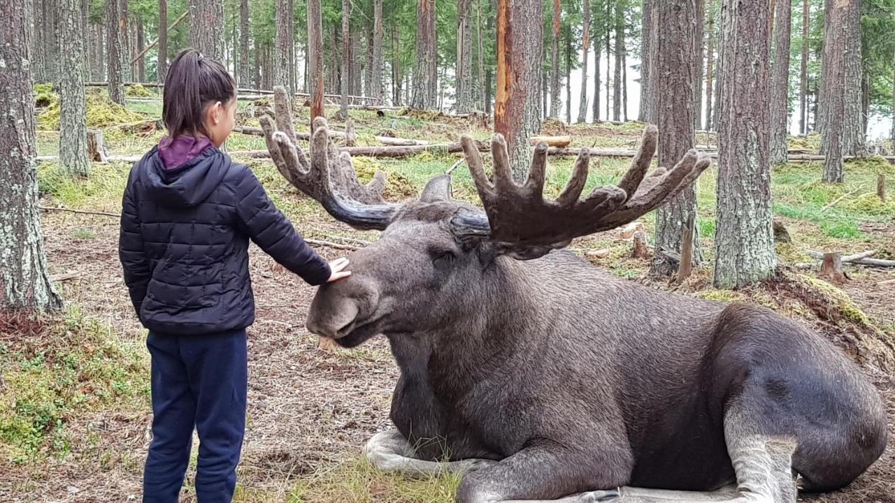 The Friendly Moose 호텔 Overtornea 외부 사진